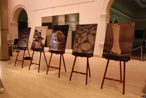 Marten Bequest Travelling Scholarships event